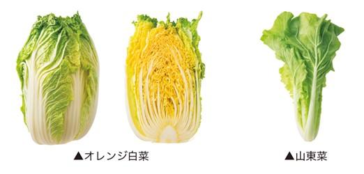 白菜.jpg