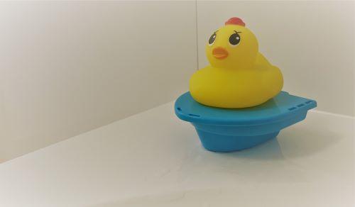 アヒルmini.jpg