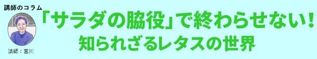 タイトル.jpg