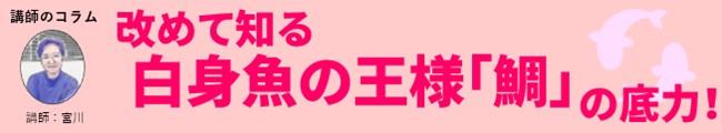 タイトル.jpg