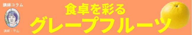 タイトル.jpg